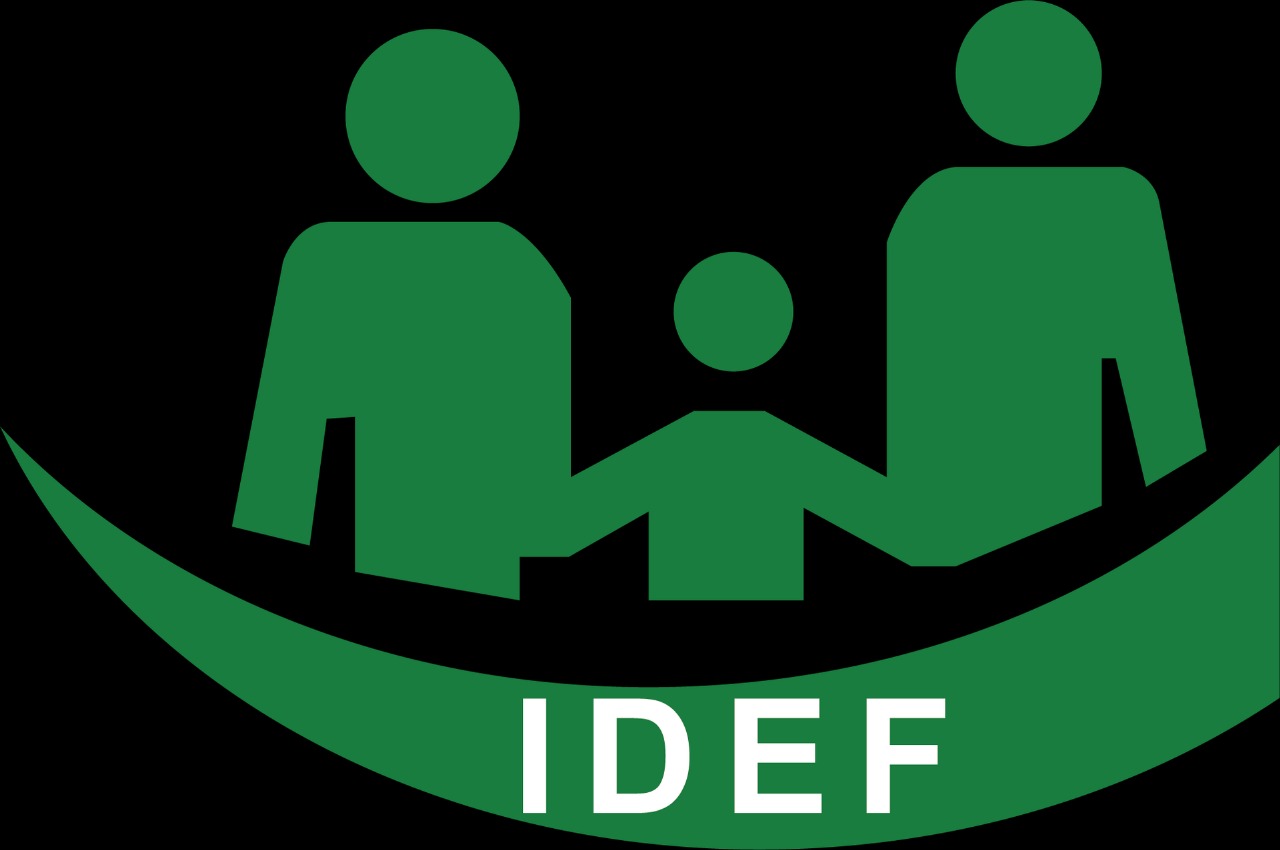 Ibrahim Dhere Education Foundation (IDEF)