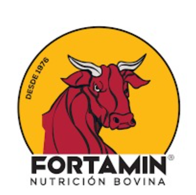 Andres Sotelo, SOMO SRL