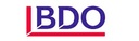 BDO EGYPT CONSULTING LTD