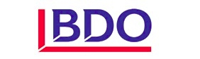 BDO EGYPT CONSULTING LTD