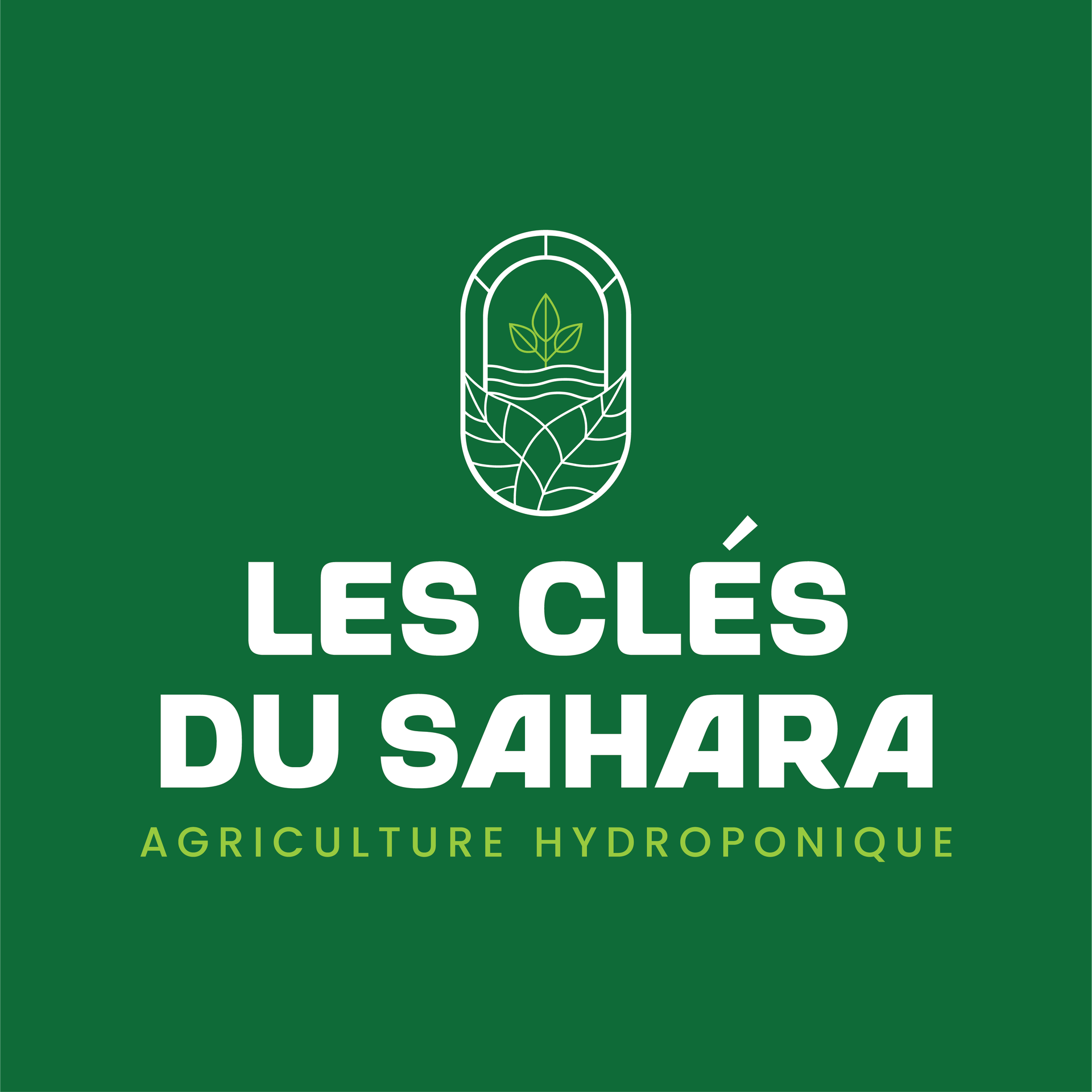LES CLES DU SAHARA, lesclesdusahara
