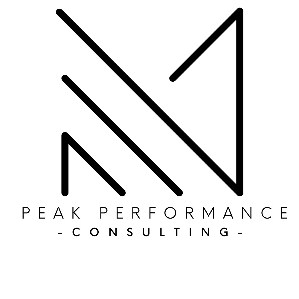 Peak Performance Consulting VBA
