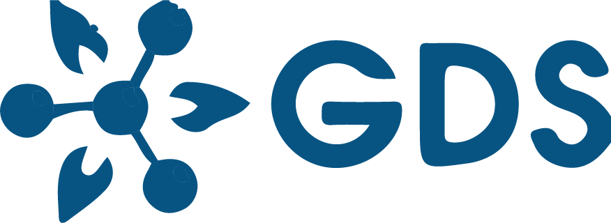 G.D.S. DEL PERU SOCIEDAD ANONIMA CERRADA