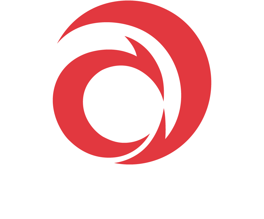 ALINGHI RACING SA