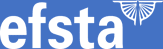 Efsta It Services