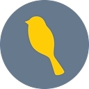 Yellow Bird