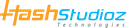 HASHSTUDIOZ TECHNOLOGIES PRIVATE LIMITED
