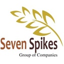 Seven Spikes Jordan