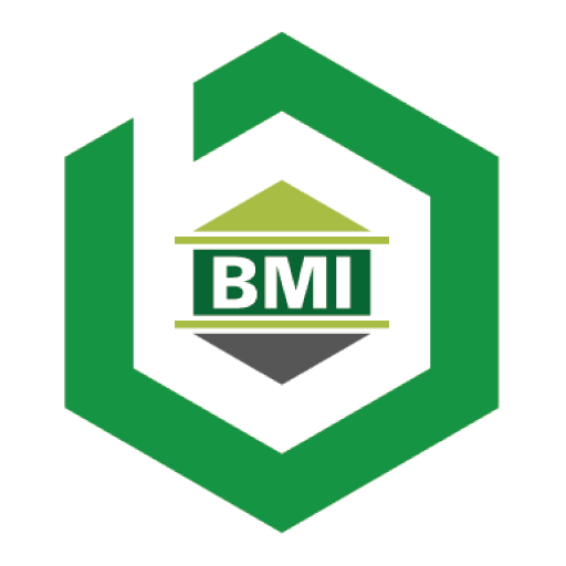 Banque Mauritanienne de l'Investissement