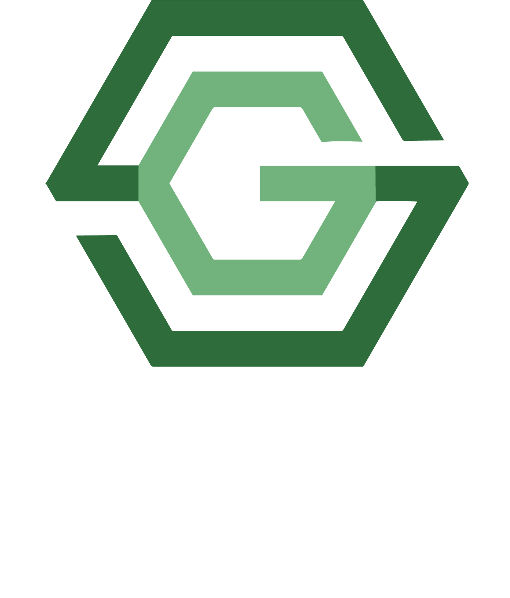 Servicointi, C.A