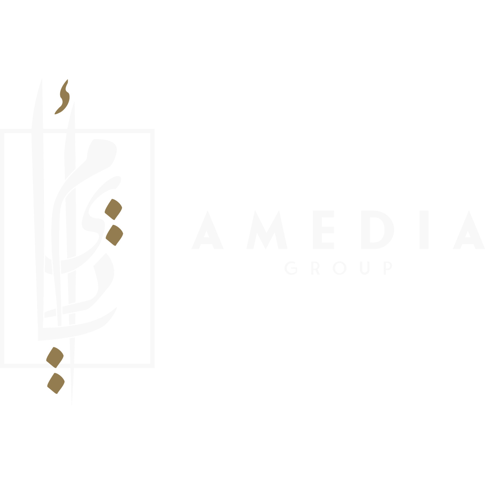 Amedia Group