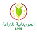 LMA