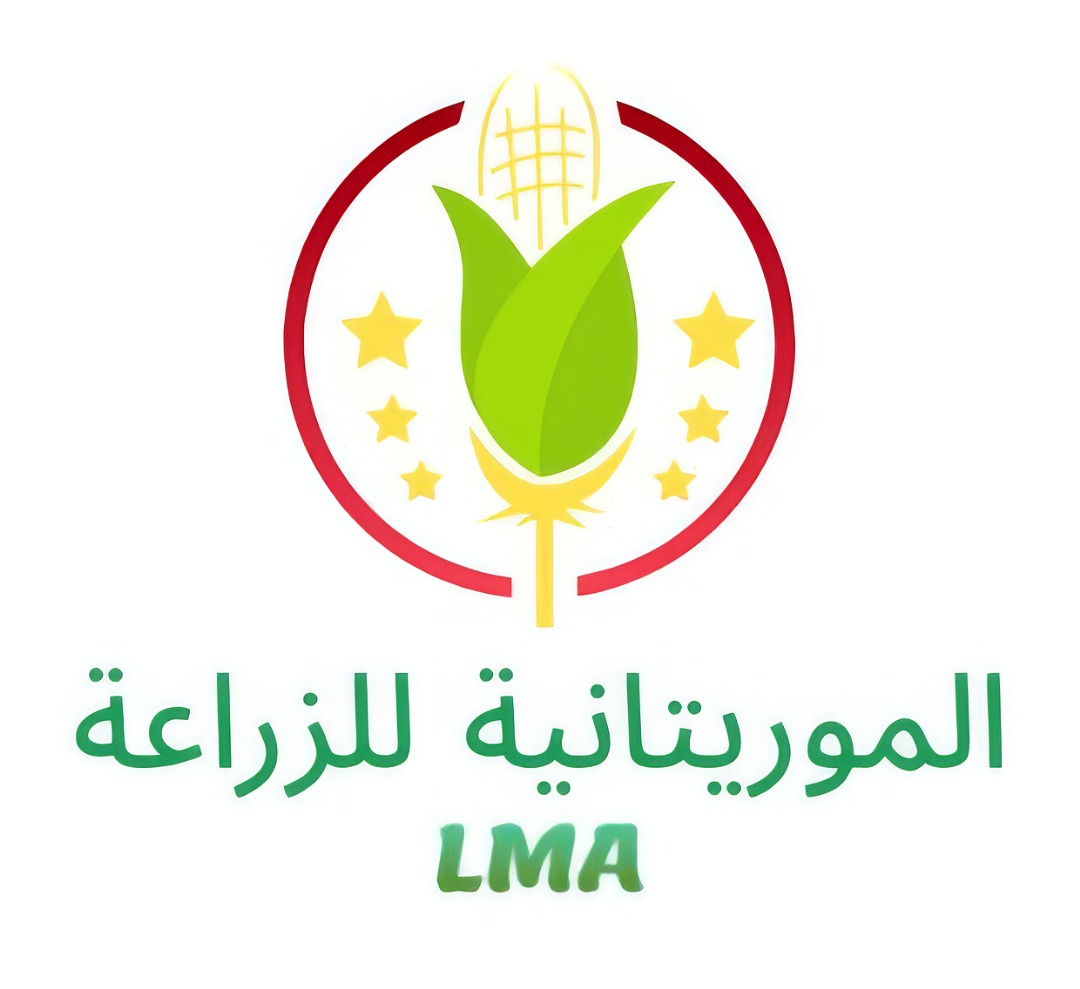 LMA