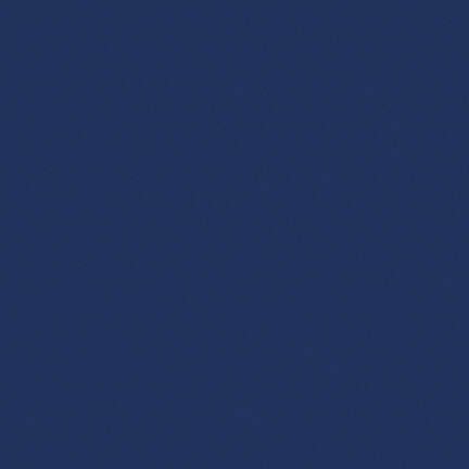 Majorbird 深圳丹鸟网络科技有限公司