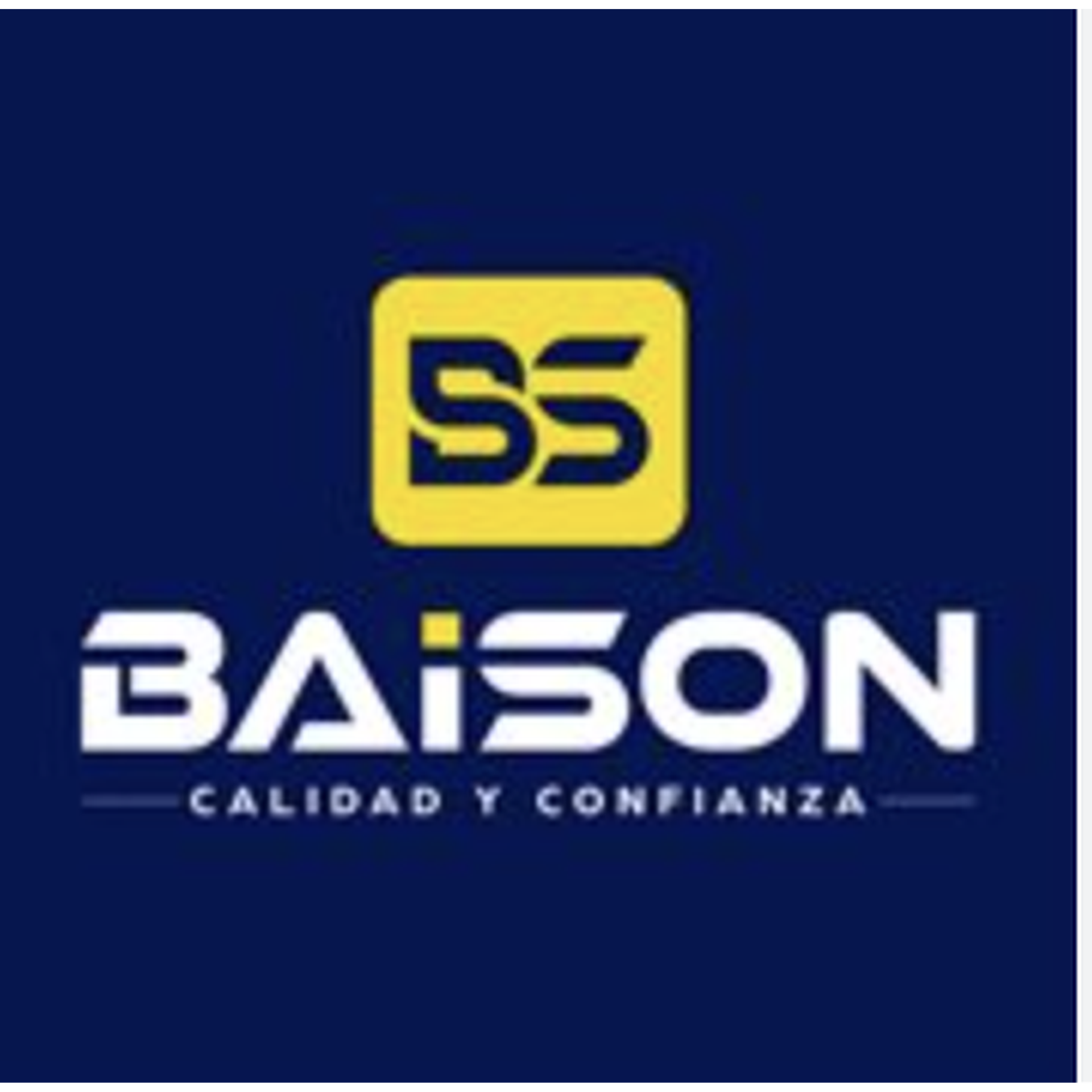 BAISON S.A.C.