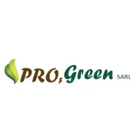 PROFESSIONAL GREEN
