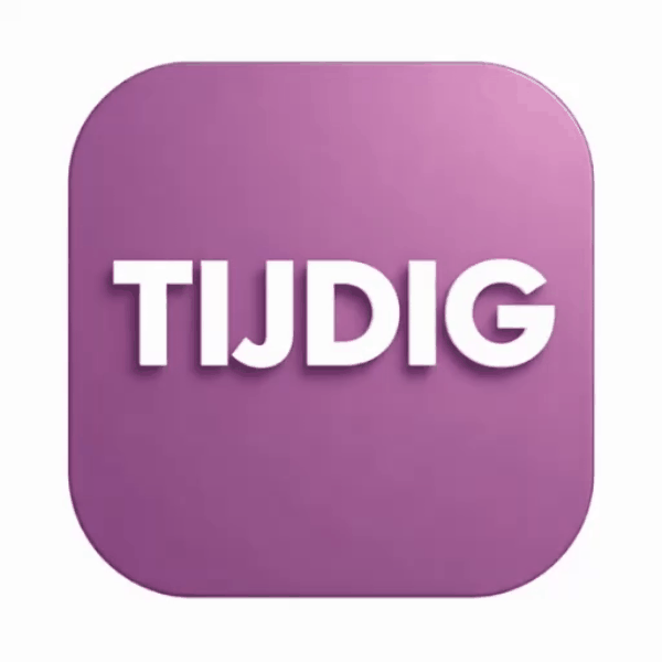 TIJDIG Consultants LLC