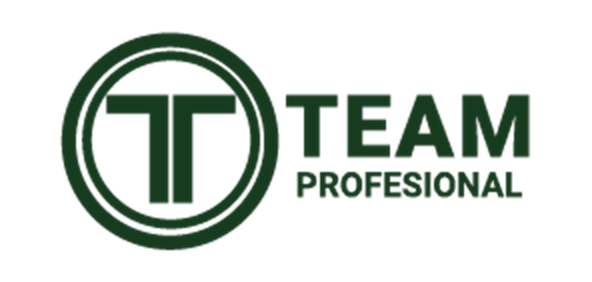 TEAM PROFESIONAL S.A.S.