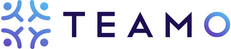 Teamo LLC FZ