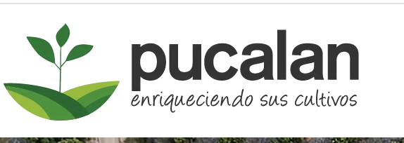 SERVICIOS DE GESTION PUCALAN LIMITADA