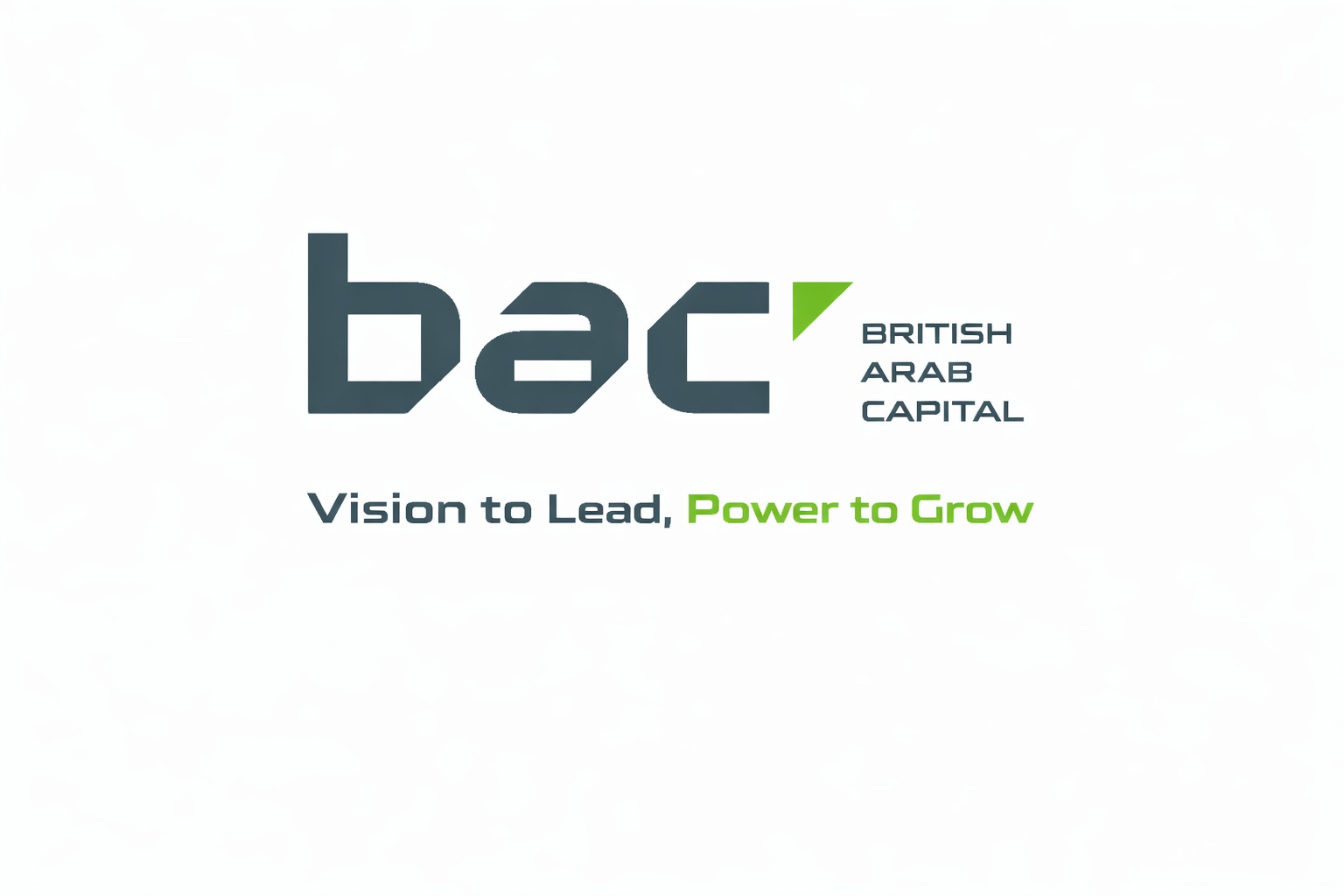 BAC CONSTRUCTIONS - L.L.C - S.P.C