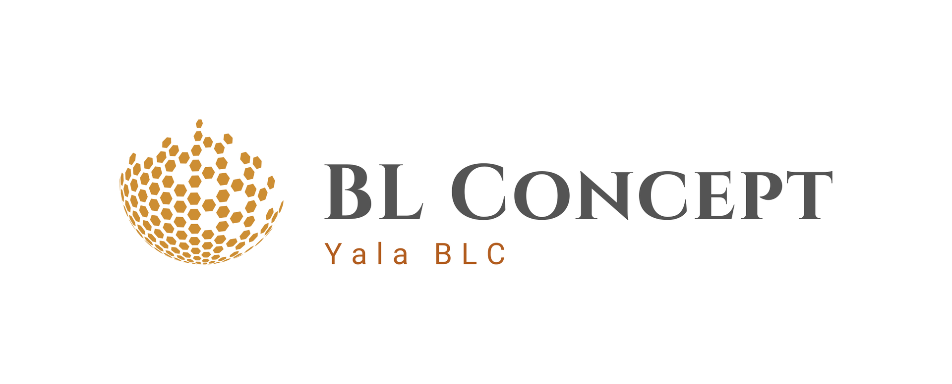 BL Concept