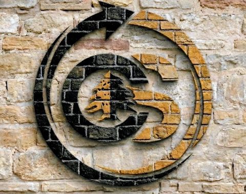 Cedar and Stone Consulting Partners LLC, Aida Carfagno