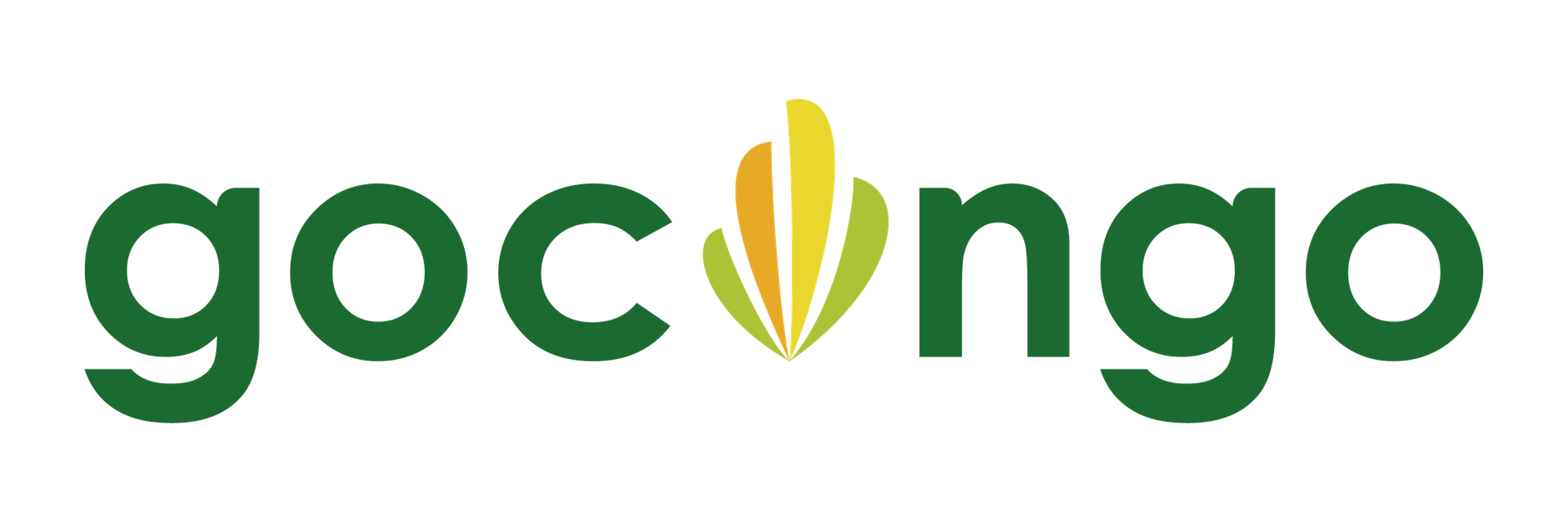GoCongo Enterprises SARL
