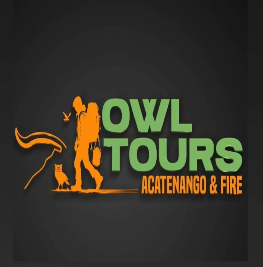 Owl Tours