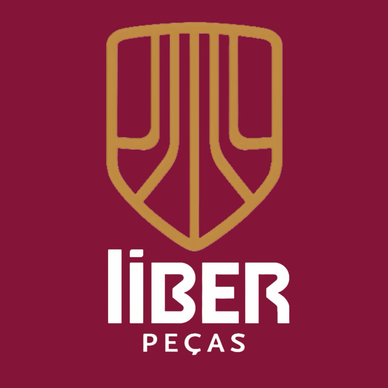 LIBER COMERCIO DE PECAS AGRICOLAS LTDA