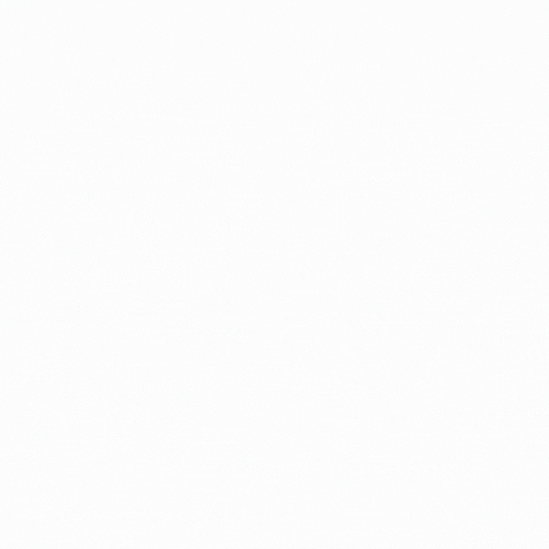 NEXEVOLVE PTY LTD