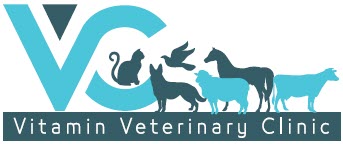 VITAMIN VETERINARY CLINIC