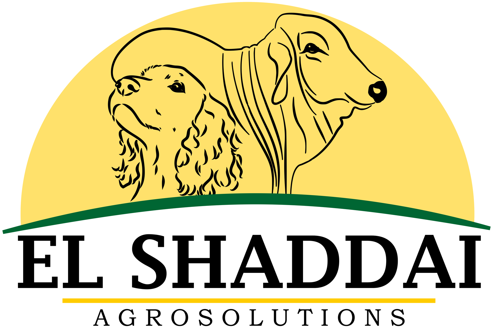Agro Solutions El Shaddai