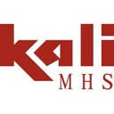 KALI BMH SYSTEMS (P) LTD.