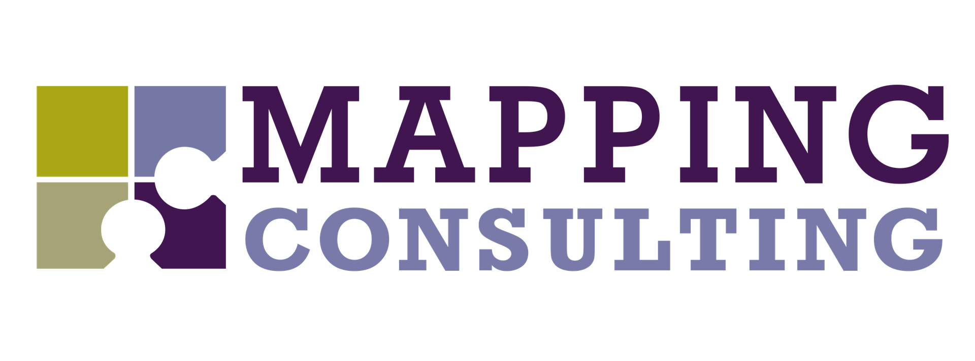 MAPPING CONSULTING SRL