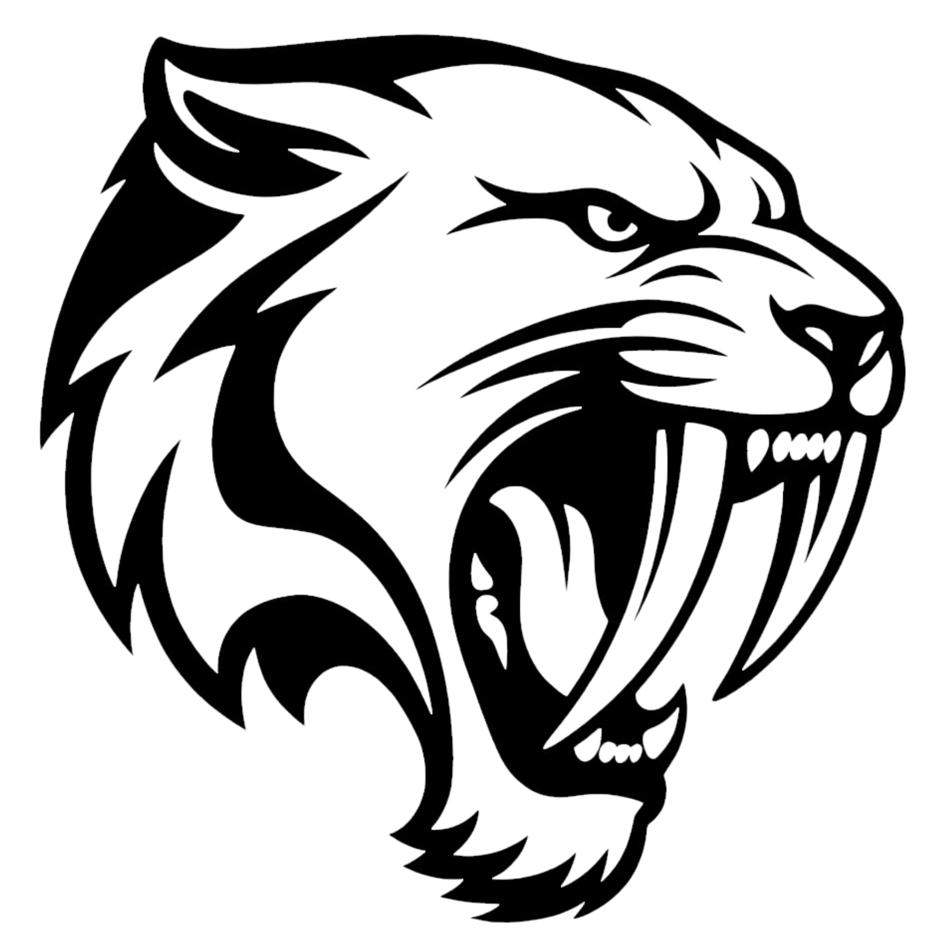 SAS Combes Domingues
