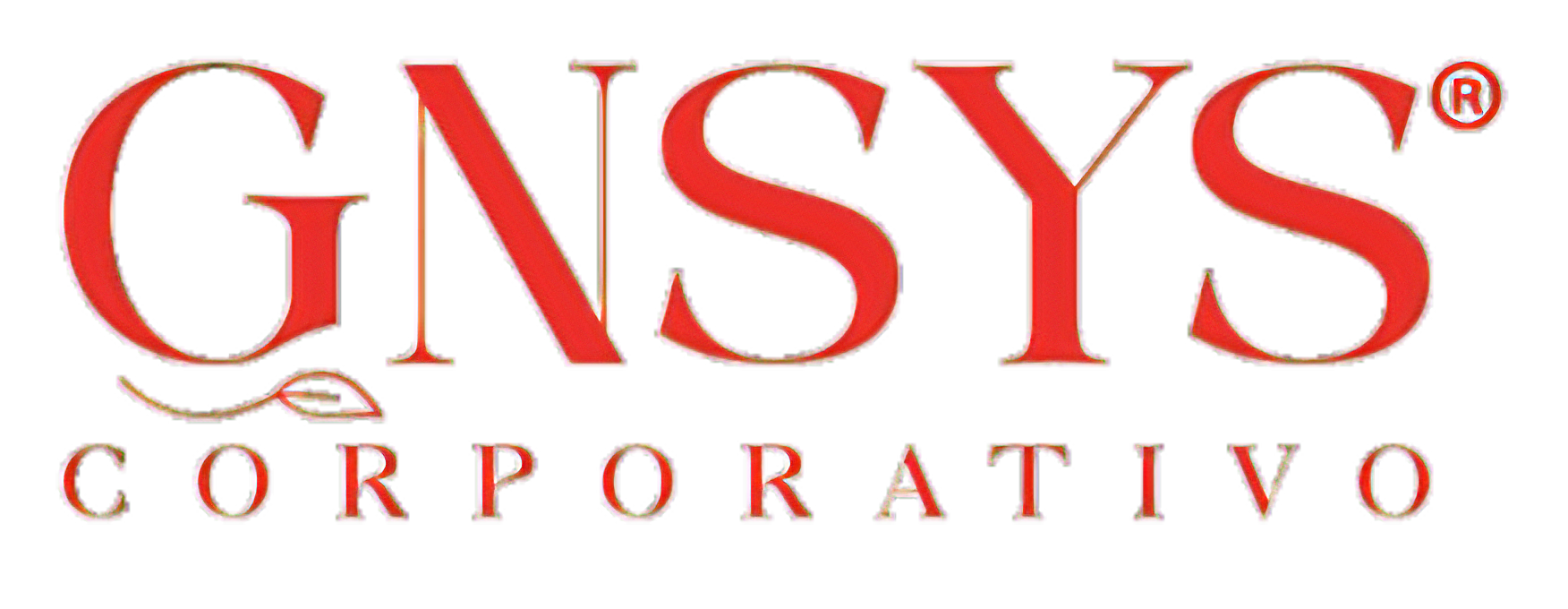 GRUPO GNSYS SOLUCIONES