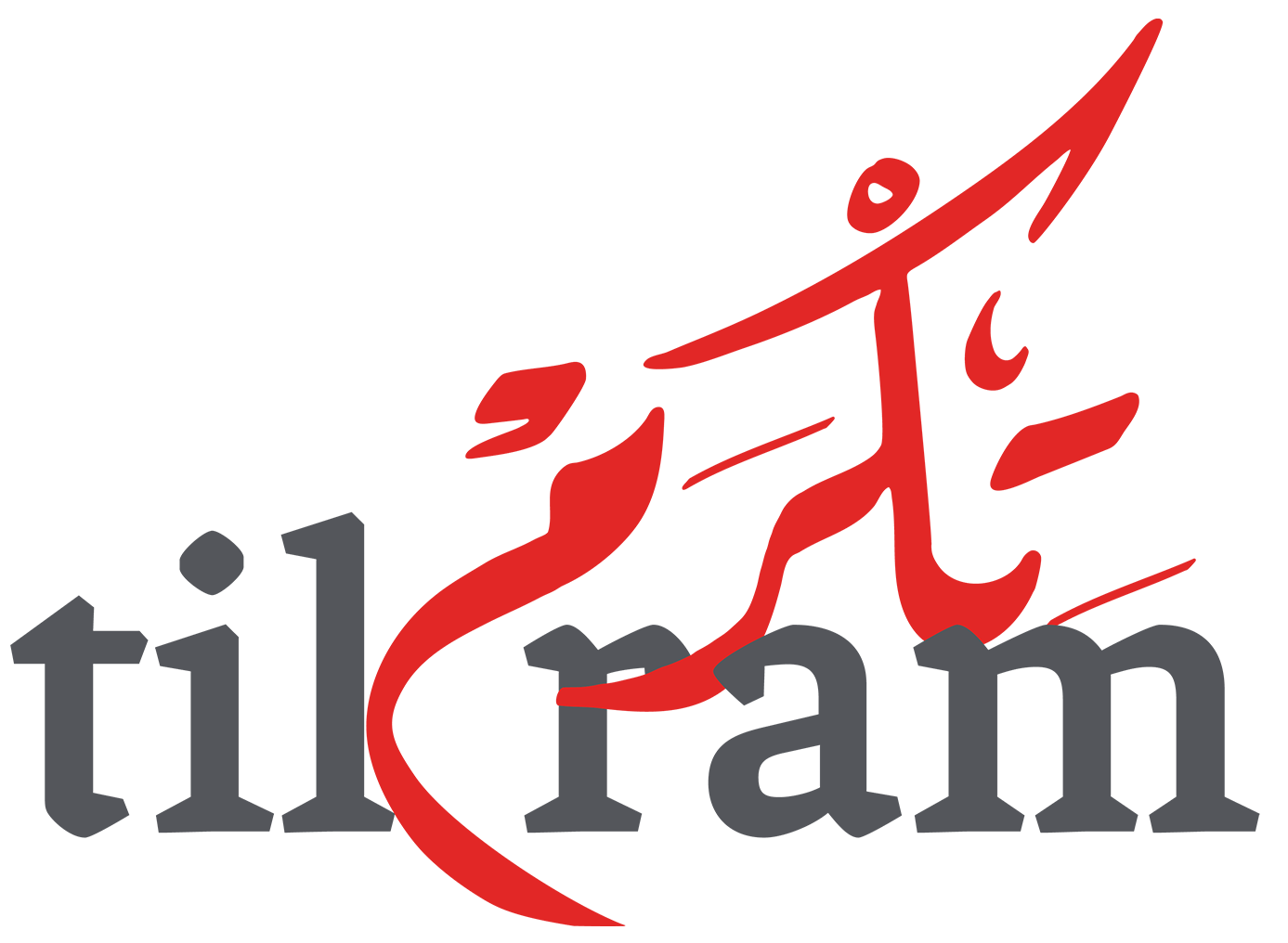 Tikram For Airport Services