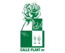 Calle Plant