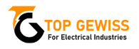 Top Gewiss Egypt