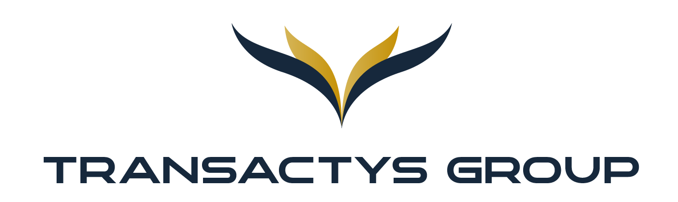 TRANSACTYS GROUP INTERNATIONAL
