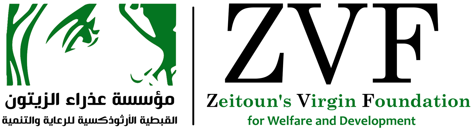 ZVF Egypt - Zeitoun's Virgin Foundation for welfare and development