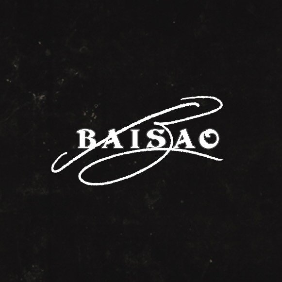 BAISAO B.V.