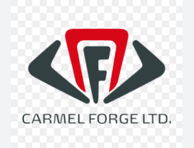 AFIKEY CARMEL LTD