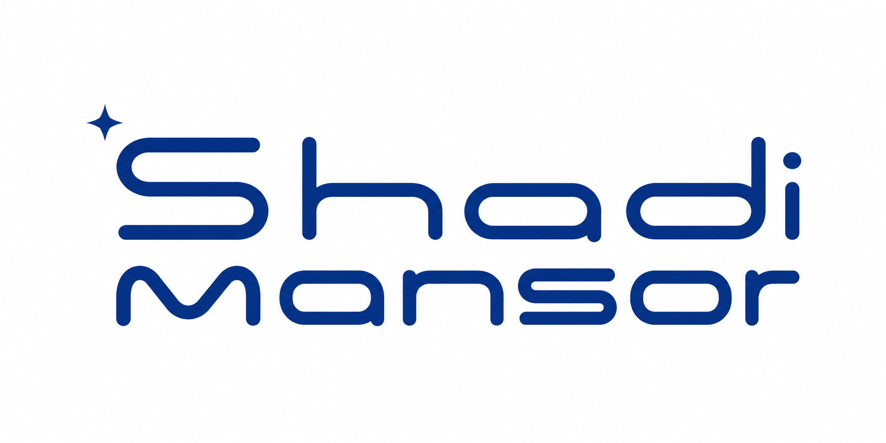 Shadi Mansor Trading and Importing Company