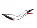 SCOT LA CIGOGNE