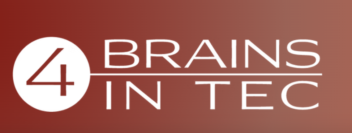 4 Brains In Tec GmbH