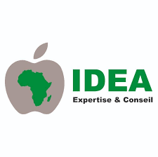 Idea Expertise & Conseil