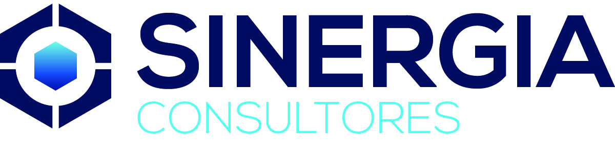 SINERGIA CONSULTORES SPA, Ricardo Esteban Olivares Ponce