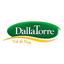 DALLA TORRE DOROTEA SRL